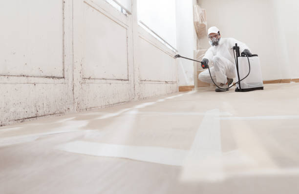 24/7 Emergency Attic Mold Removal experts in Lexington, MA